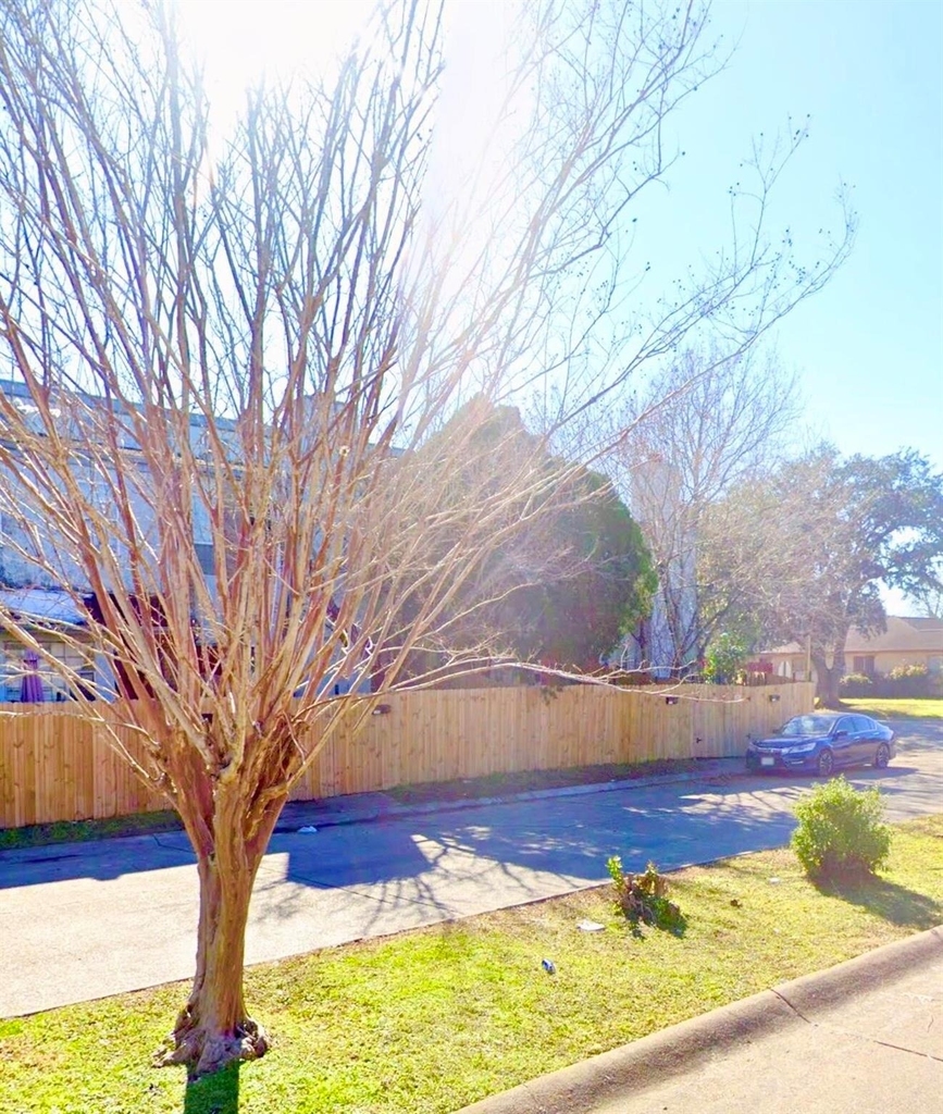11203 Shannon Hills Drive - Photo 10