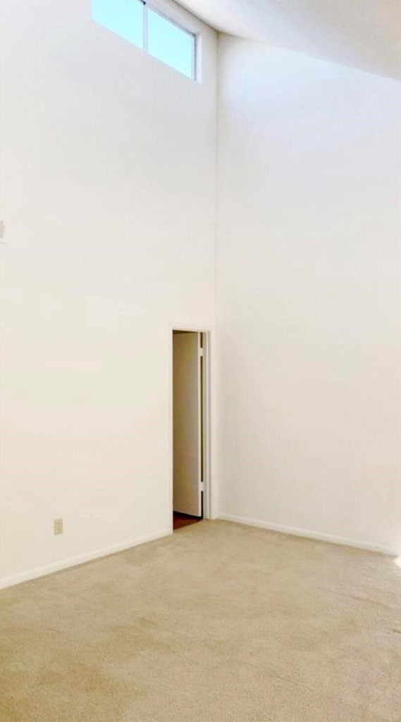 11203 Shannon Hills Drive - Photo 5