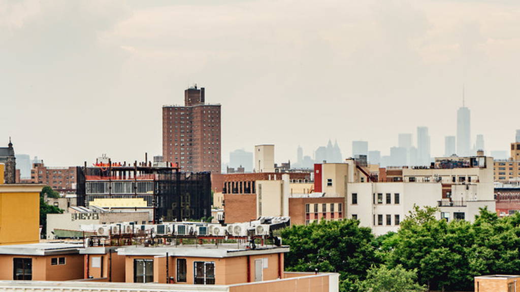 774 Bushwick Avenue - Photo 8