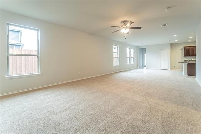 3305 Shortgrass Lane - Photo 4
