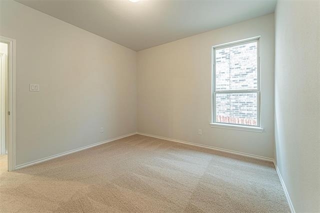 3305 Shortgrass Lane - Photo 15
