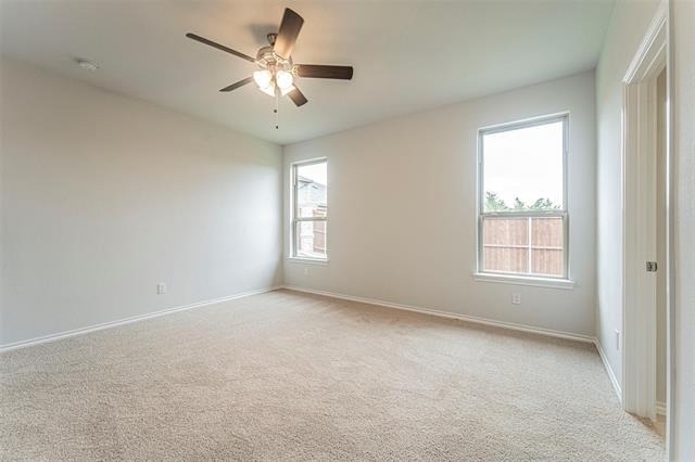 3305 Shortgrass Lane - Photo 10