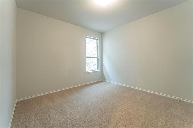 3305 Shortgrass Lane - Photo 14