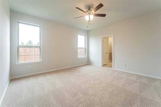3305 Shortgrass Lane - Photo 9