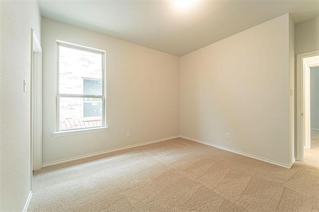 3305 Shortgrass Lane - Photo 18