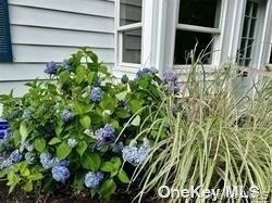 16a Bishop Avenue - Photo 19