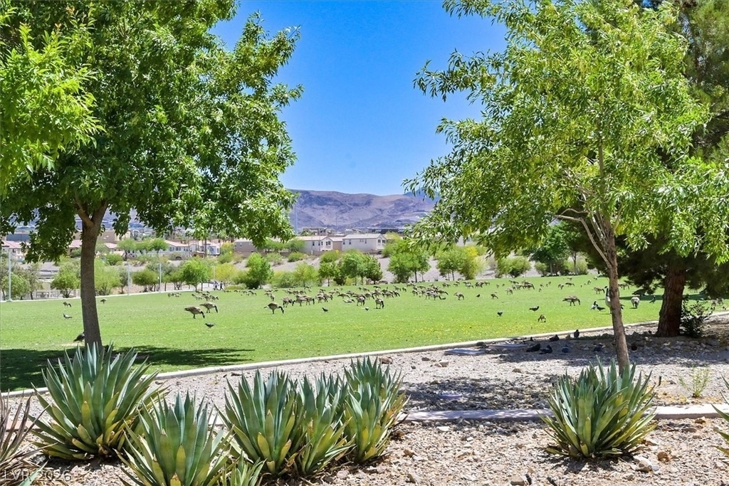 75 N Valle Verde Drive - Photo 24