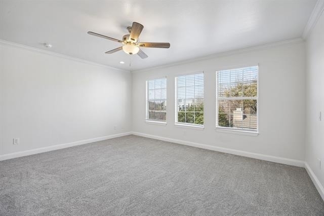 4125 Holland Avenue - Photo 9
