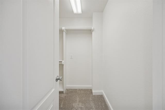4125 Holland Avenue - Photo 12