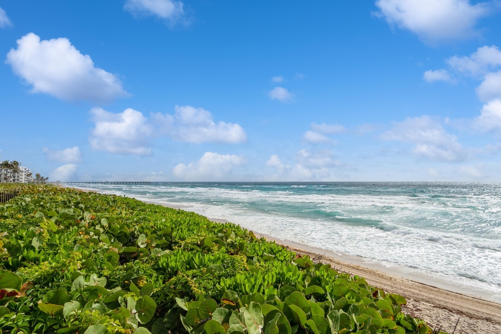 3200 S Ocean Boulevard - Photo 1