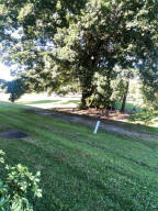 4031 N Cypress Drive - Photo 12