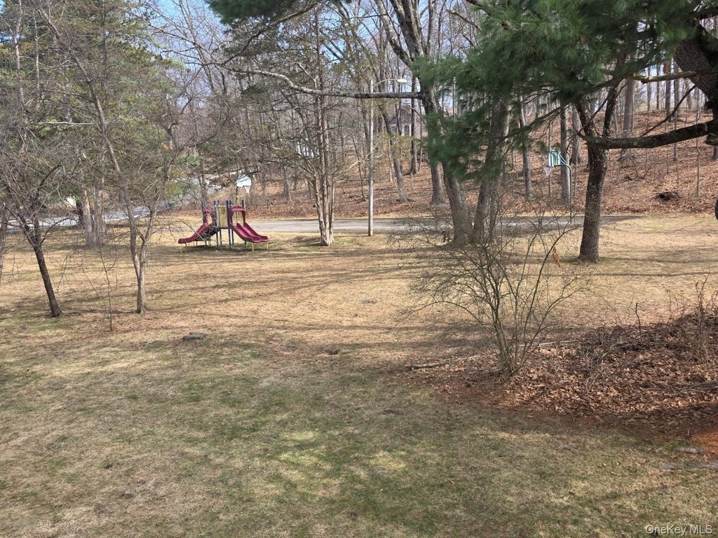 29 Carriage Hill Lane - Photo 24