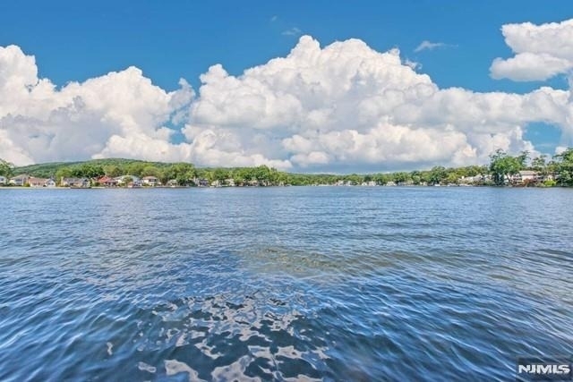 21 E Shore - Photo 4