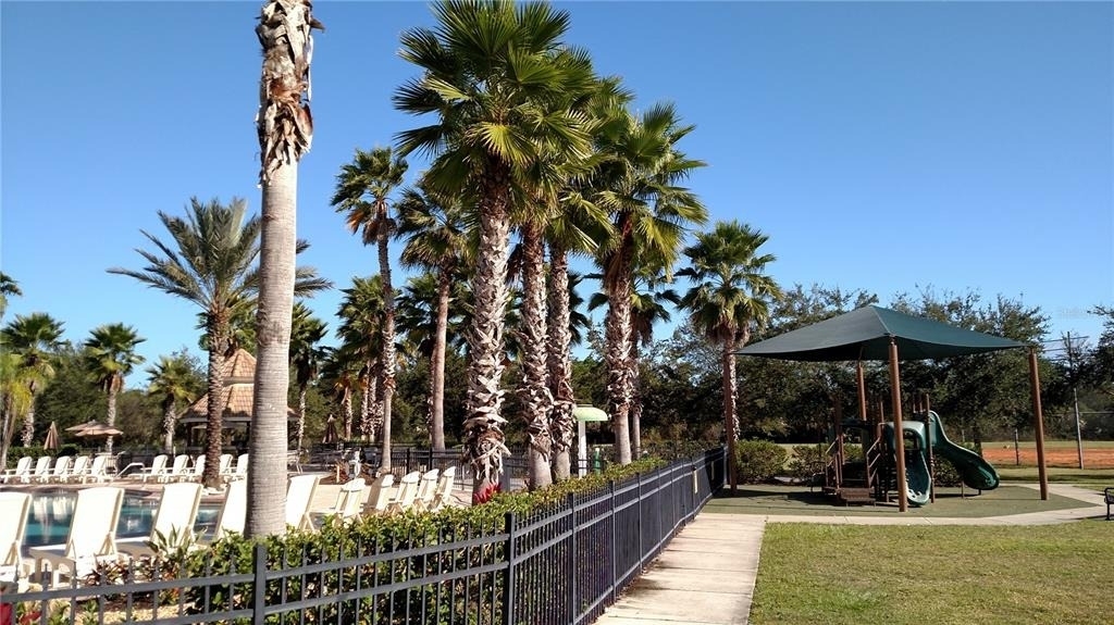 11581 Dancing River Drive - Photo 19
