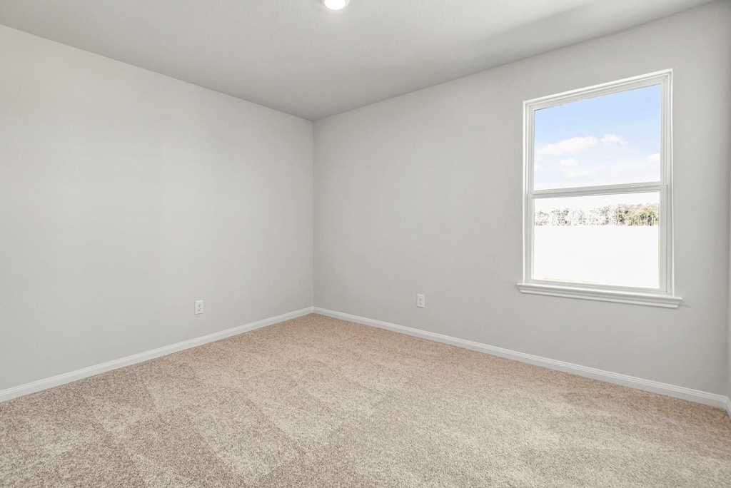23043 Glory Orchid Drive - Photo 8