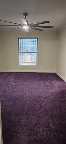 125 Souder Drive - Photo 19