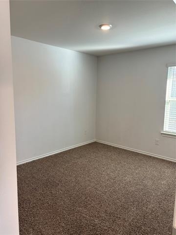 1001 Euston Street - Photo 6