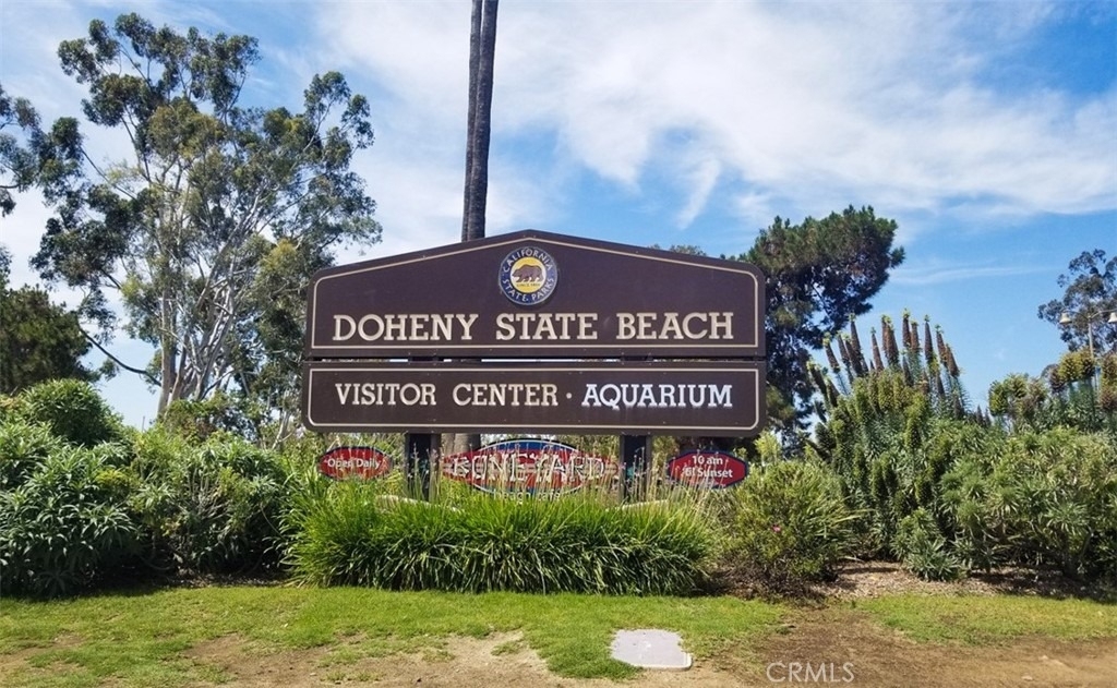 1309 Doheny Way - Photo 43