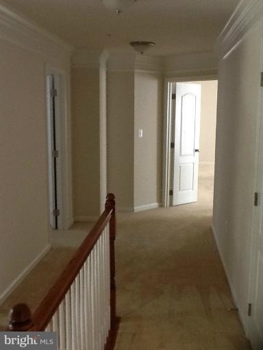 6303 Soueid Street - Photo 15