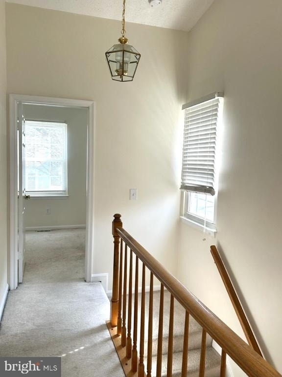898 Bayridge Drive - Photo 10