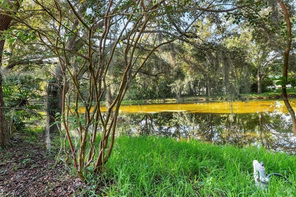 4920 Old Oakleaf Drive - Photo 33