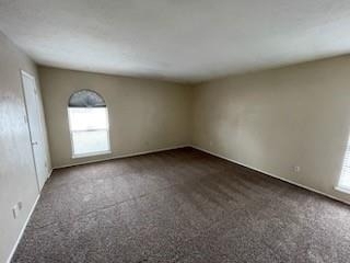 821 Stone Trail Drive - Photo 12