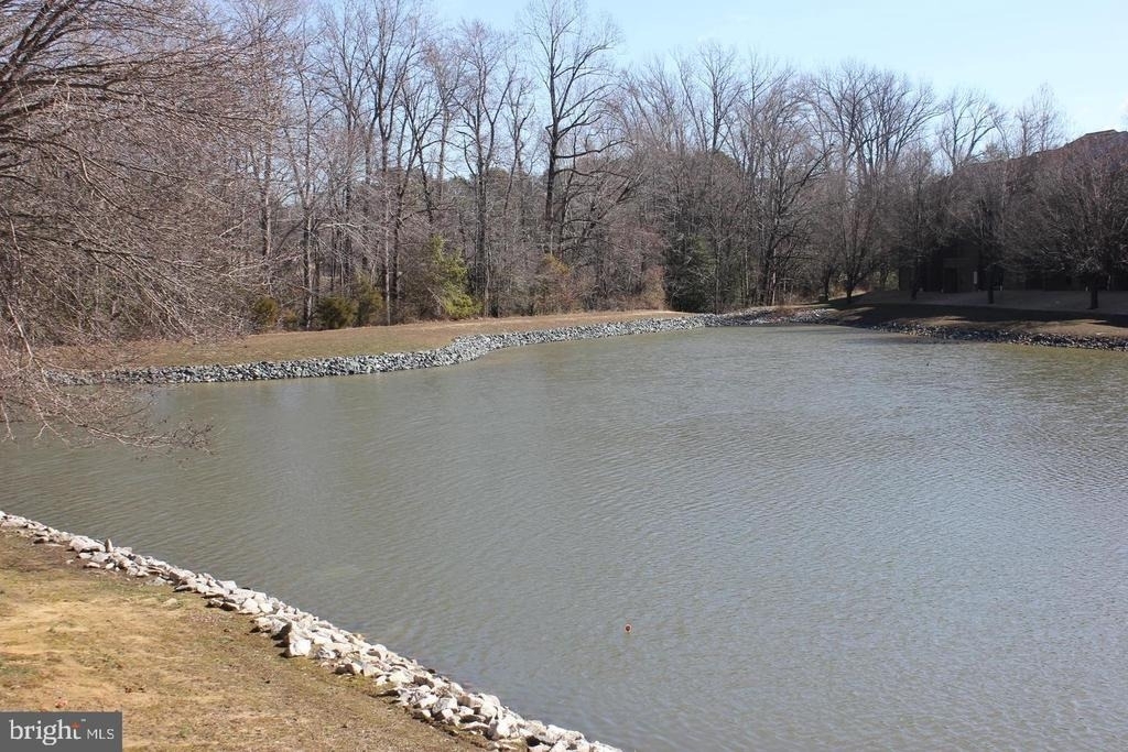 44759 Woodlake Court - Photo 19