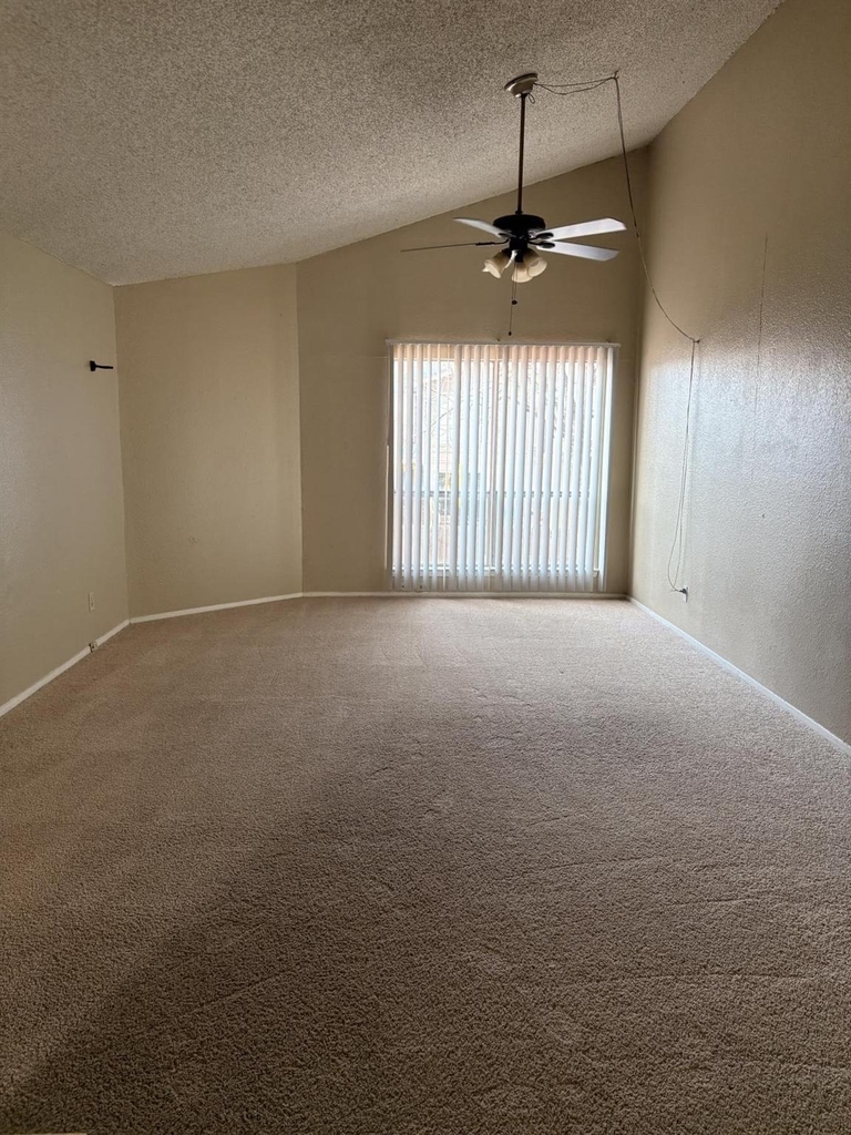 6908 Lovely Ln - Photo 10