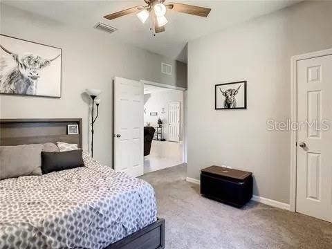 6402 Yellow Buckeye Drive - Photo 23
