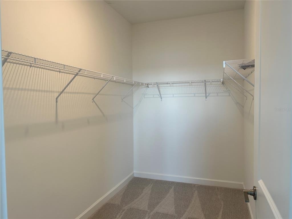 15513 White Linen Drive - Photo 10