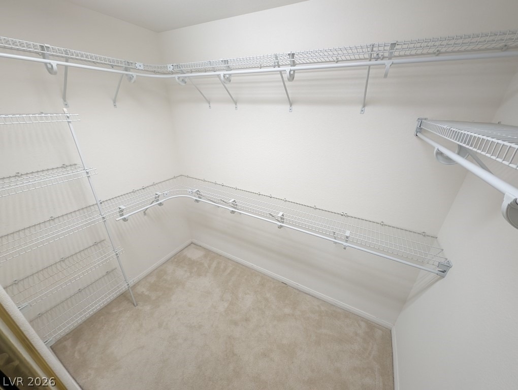 10900 Royal Highlands Street - Photo 14