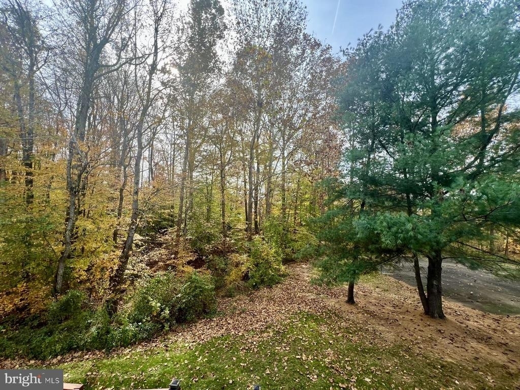 11570 Hill Meade Lane - Photo 11