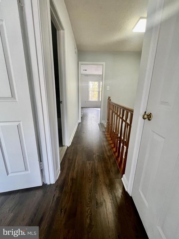 11570 Hill Meade Lane - Photo 15