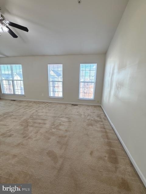 108 Leather Fern Way - Photo 9