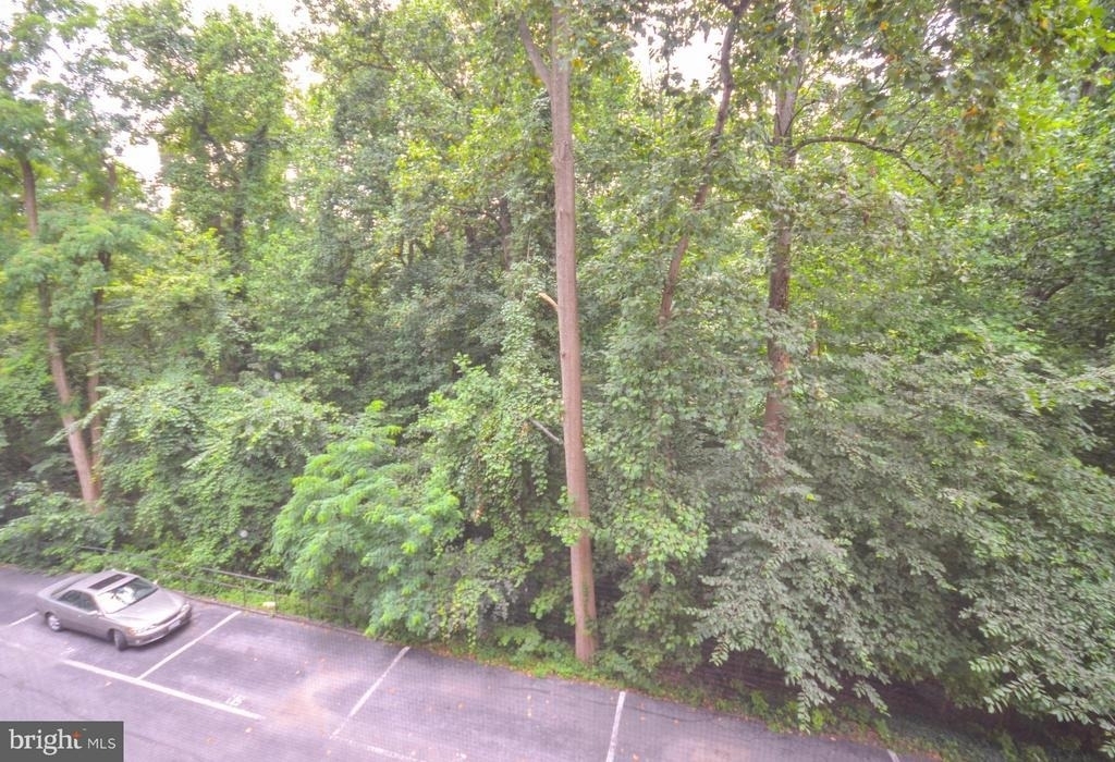 4100 W Street Nw - Photo 10