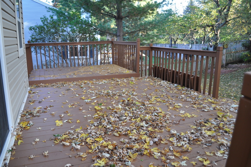 15 Whispering Drive - Photo 2