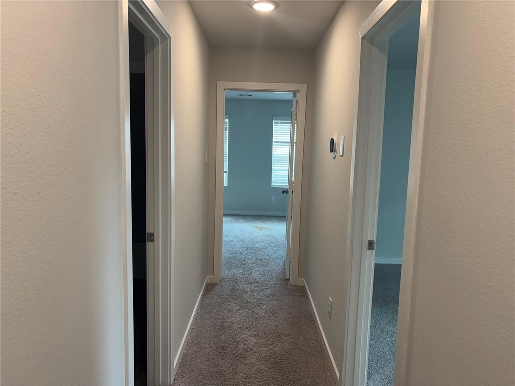 5735 Blue Grama Drive - Photo 21