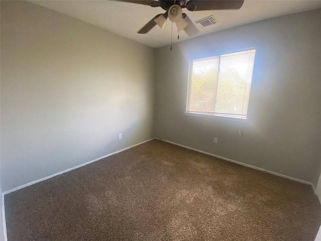 14007 Oleoke Lane - Photo 14