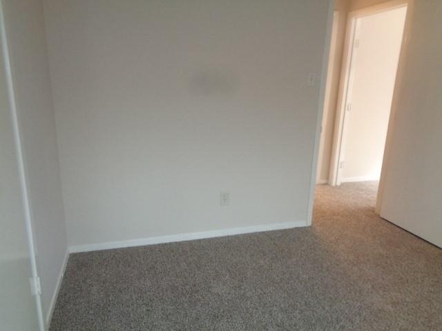 8402 Lone Bridge Lane - Photo 10