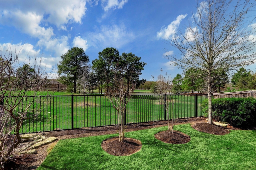 11627 Tranquility Summit Drive - Photo 13