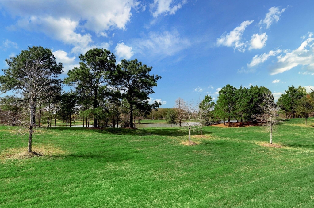11627 Tranquility Summit Drive - Photo 14