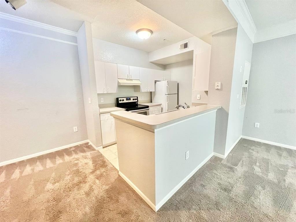 17110 Carrington Park Drive - Photo 10