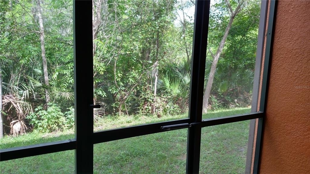 30105 Mossbank Drive - Photo 32