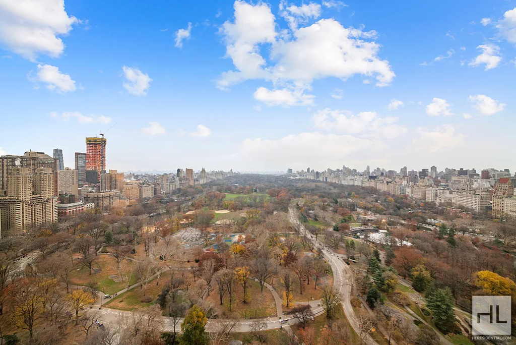 Central Park South - Photo 18