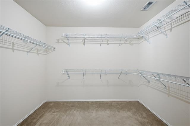 2229 White Rock Lane - Photo 17