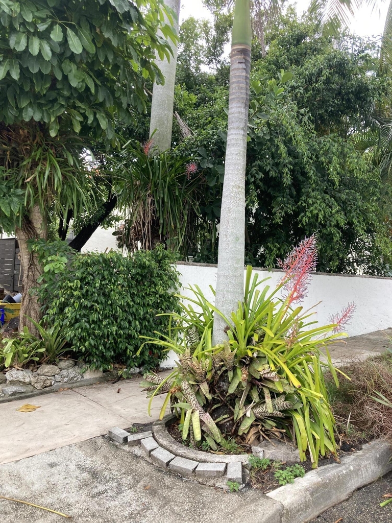 824 35th Street - Photo 12