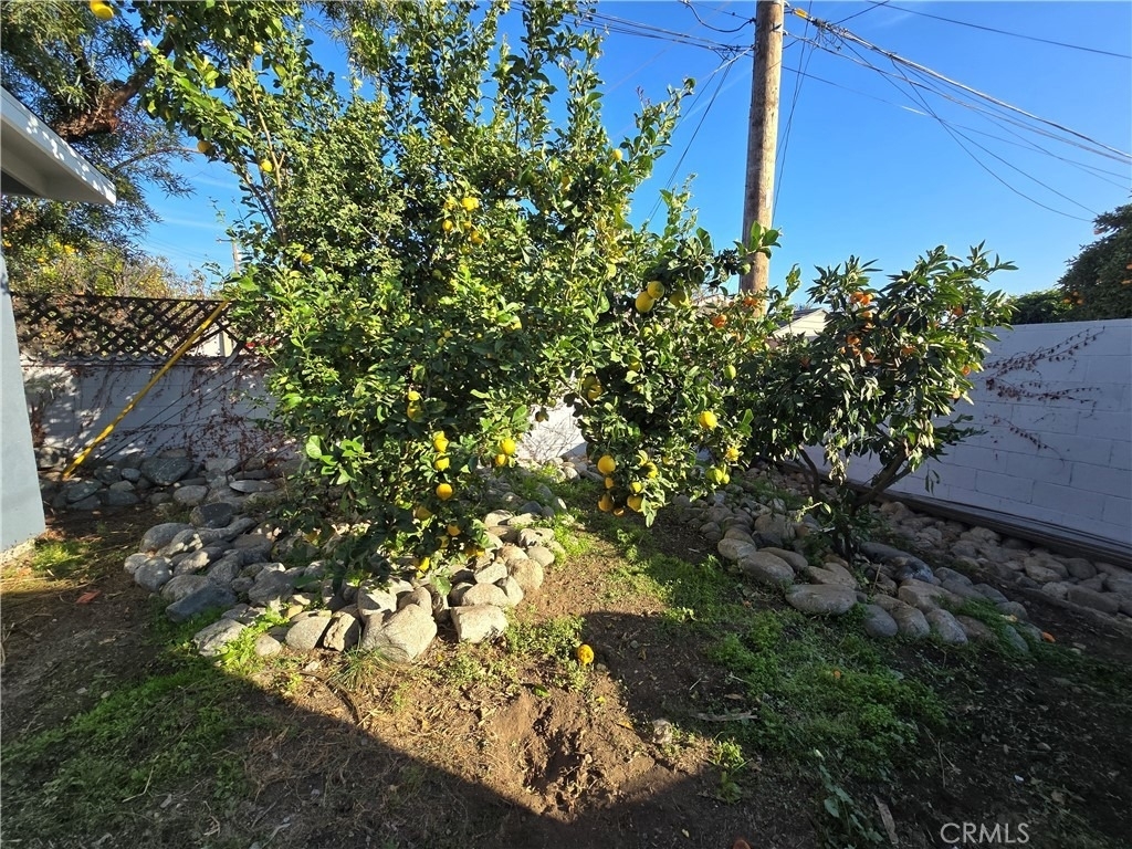 896 Altura Way - Photo 16