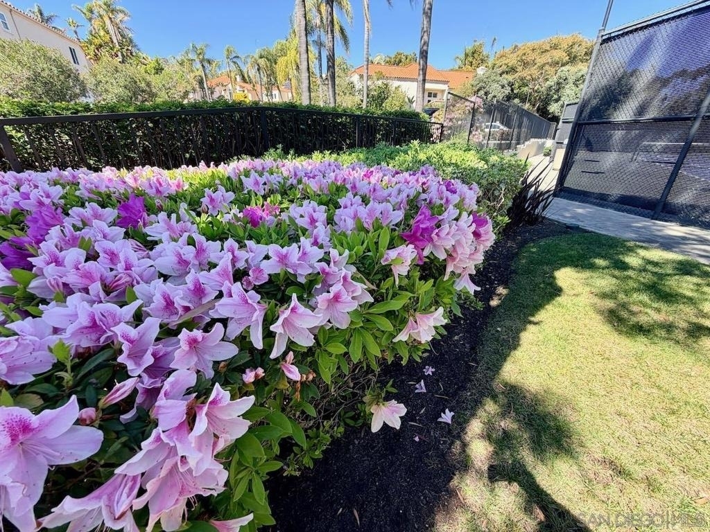 12973 Caminito Pointe Del Mar - Photo 65