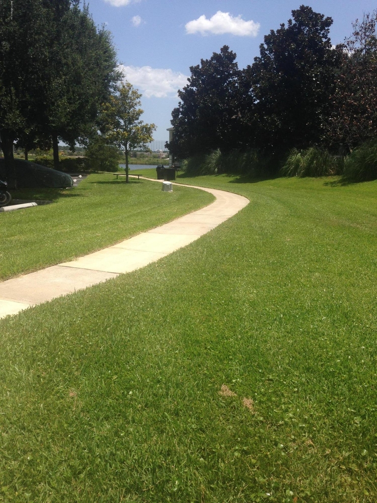 10075 Gate Parkway - Photo 16