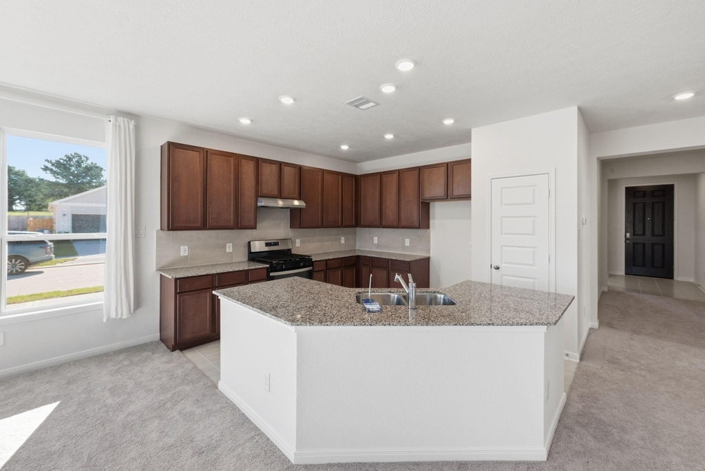 18206 Spruce Cottage Drive - Photo 9
